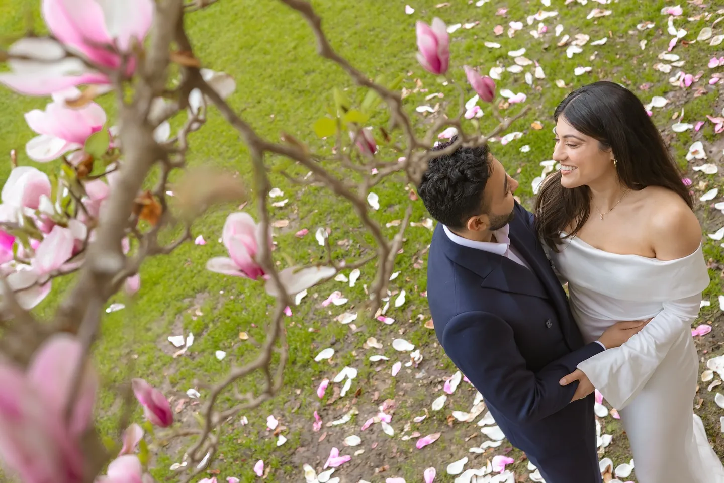 Couple under blooming magnolia branches